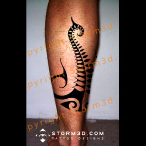 koru-fern-on-calf-tattoo-design-drawing-images