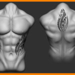 maori-tattoo-silver-fern-design-back-stomach-tribal