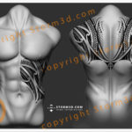 stomach-maori-tattoo-design-koru-patterns