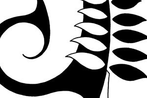 new-zealand-national-symbol-maori-fern-koru