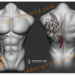 back-chest-tattoo-shoulderblade-maori-storm3d-tatau-mauri-polynesia