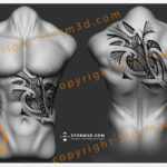 upperback-turtle-tattoo-design-tribal-polynesia