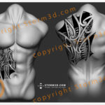 chest-and-upperback-tattoo-design-storm3d-maori-polynesian