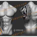 storm3d-chest-and-rib-tattoo-designs-for-sale